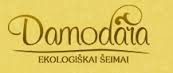 damodara_logo